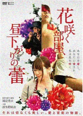 综艺资讯